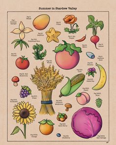 a poster with different types of vegetables and fruits on it's sides, including sunflowers