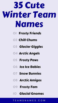 the 35 cute winter team names are in blue and white, with black letters on them