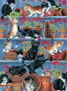 a bunch of cats that are sitting in some potted plants on a shelf with flowers