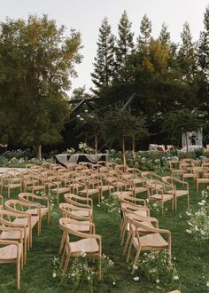 rows of wooden chairs sitting on top of a lush green field next to tall trees