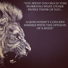 a lion's face with the words, you spend too much time worrying what other people think of you