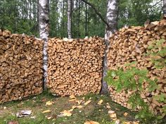 several stacks of wood sitting in the woods