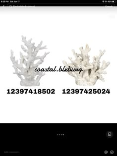 two white corals sitting on top of each other in front of a computer screen