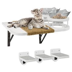 a cat laying on top of a wooden table next to three bowls and trays