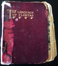 the language of flowers written in gold lettering on a red cloth covered book with floral designs