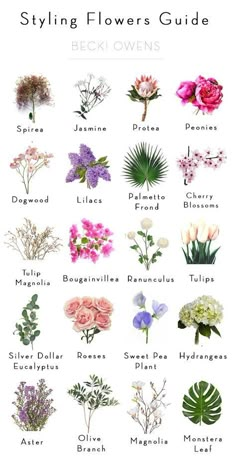 an illustrated guide to different types of flowers and their names on a white background with the title