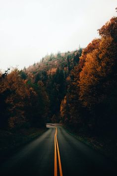 an empty road surrounded by trees with yellow and orange leaves on the top of it