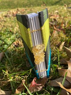 an open book sitting in the grass on top of leaves