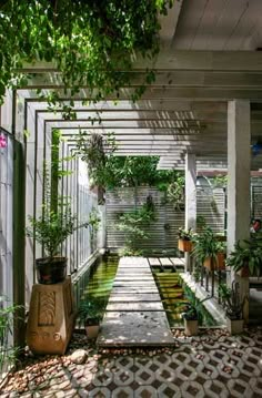 an outdoor area with plants and potted plants on the side of the building, surrounded by greenery