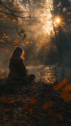 a person sitting on the ground in front of trees with sun shining through them and fog