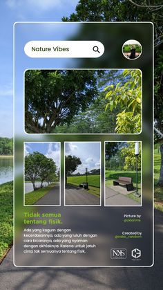 an image of a park with trees and benches in the foreground, along with text that reads nature vibes