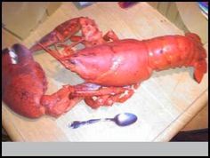 a cooked lobster on a cutting board next to a spoon