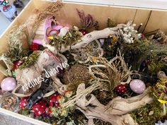 a box filled with lots of different types of plants and decorations on top of each other