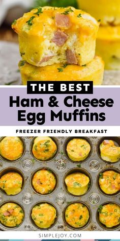 the best ham and cheese egg muffins