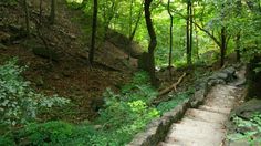 there is a stone path in the woods