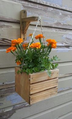 a wooden planter filled with orange flowers