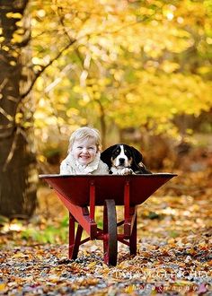 Just a normal day hanging out with my puppy in a wheelbarrow. Moderne Have, Childrens Photography, Dogs And Kids, Fall Pictures, Jolie Photo, Fall Photos, Autumn Photography, Mans Best Friend, Funny Kids