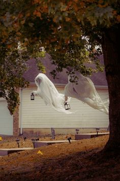 two white birds are flying in front of a house with halloween decorations on the lawn