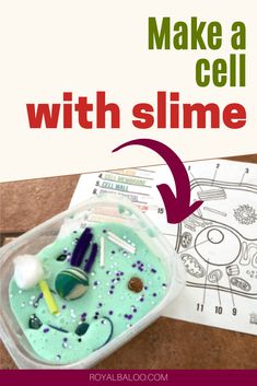 make a cell with slime for kids to learn how to draw and color it