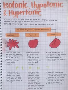 a notebook with some information about hypatomic and hyperionic things on it