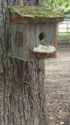 a bird house built into the side of a tree