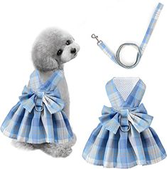 a dog wearing a blue and white plaid dress with matching leash, collar and leash