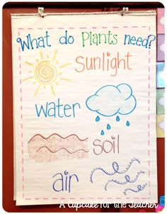 a bulletin board with writing on it that says what do plants need? sunlight water soil air