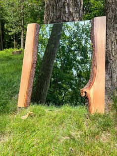 a mirror sitting on top of a grass covered field next to a tall tree in front of a forest