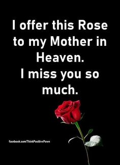 a red rose with the words i offer this rose to my mother in heaven i miss you so much