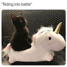 a black cat sitting on top of a white stuffed unicorn horse with a gold horn