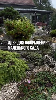 an image of a house with trees and bushes in the foreground text reads russian