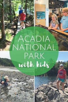 the acadia national park with kids