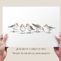 there are five birds standing in a row on a card with the words, available in a variety of sizes