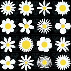 white and yellow daisies on black background with the sun in the center, surrounded by smaller daisies