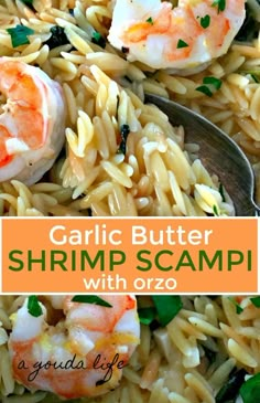 garlic butter shrimp scampp with orzo