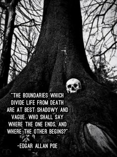 a black and white photo with a quote from edgar poe on the trunk of a tree