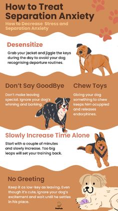 how to treat separation in dogs and cats info from the dog grooming website, with instructions on how to treat separation