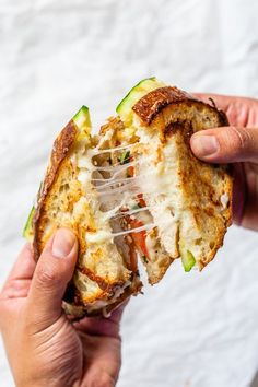 a person holding a sandwich in their left hand with cheese and vegetables on the inside