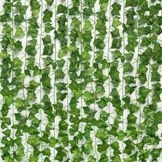 green ivy growing on the side of a wall