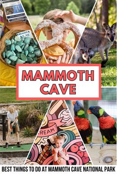 the mammoth cave sign with images of animals, birds and other things in front of it