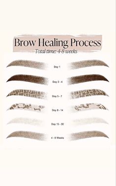 Microblading Eyebrows Training, Microblading Healing Process, Brow Quotes, Permanent Makeup Studio, Permanente Make-up, Membentuk Alis, Brow Studio