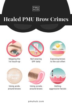 Pmu Content, Eyebrow Techniques, Ombré Eyebrows, Pmu Supplies, Microblading Mapping, Microblade Eyebrows, Mircoblading Eyebrows, Ombre Eyebrows, Skin Anatomy