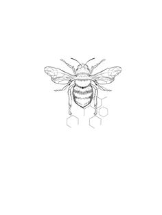 a black and white drawing of a bee