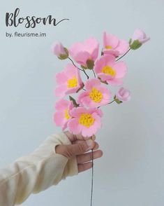 a person holding pink flowers in their hand with the words blossom written on it and above them