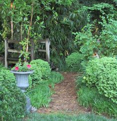 a garden with green plants and flowers next to a wooden bench in the middle of it