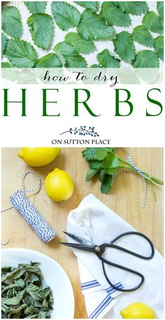 herbs on a cutting board with lemons, mint leaves and other things to eat