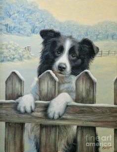 a painting of a border collie leaning on a fence looking over it's top