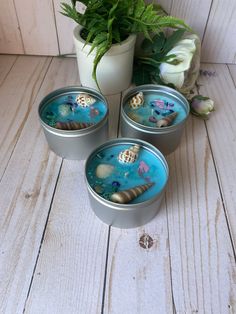 three tins with seashells in them sitting on a wooden table next to a potted plant