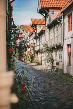 an old cobblestone street with red roses growing on the side of it and buildings in the background