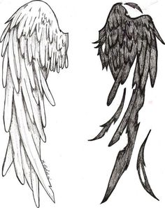 two drawings of angel wings one is black and the other is white